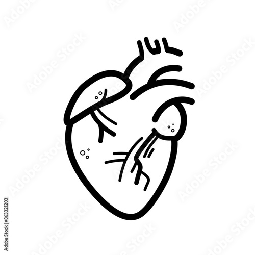 Human heart, heart muscle, karyology - vector icon