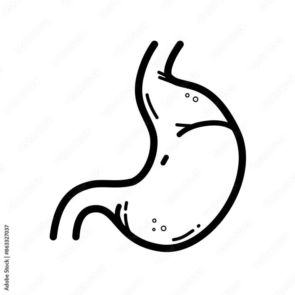 human stomach, digestive system, digestion - vector icon human stomach, digestive system, digestion - vector icon