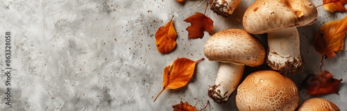 Fresh Brown Mushrooms on Grey Background