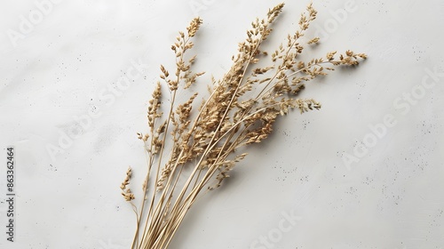 A bunch of dried grass on a white surface. 