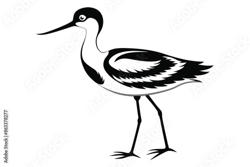 Avocet black and white  silhouette vector A.eps photo