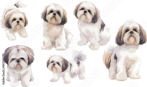 shih tzu watercolor clipart	