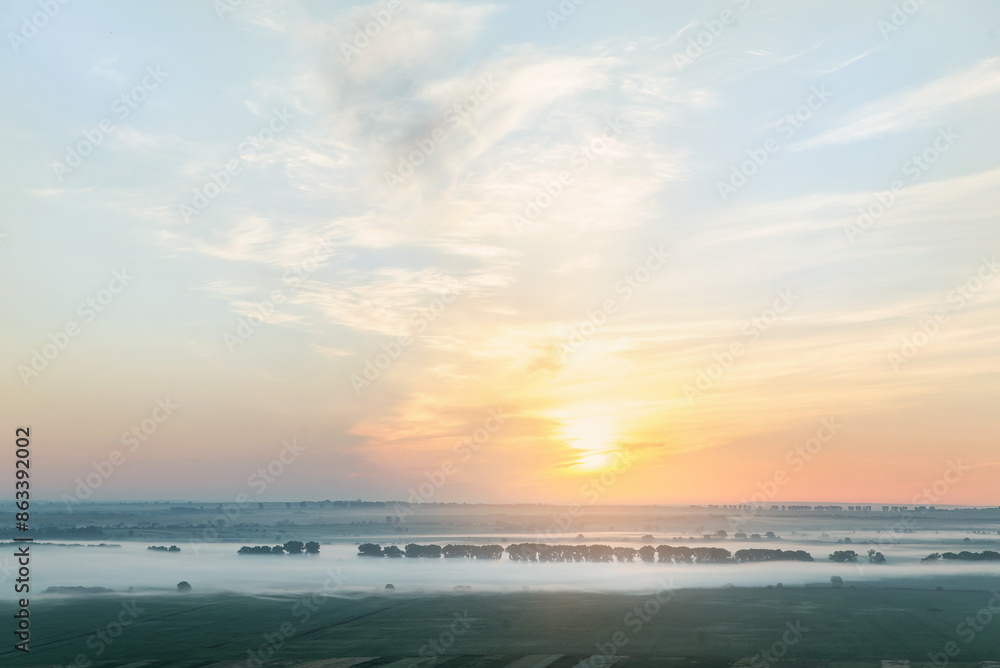 Obraz premium Morning foggy landscape in the field with trees at warm summer sunrise.