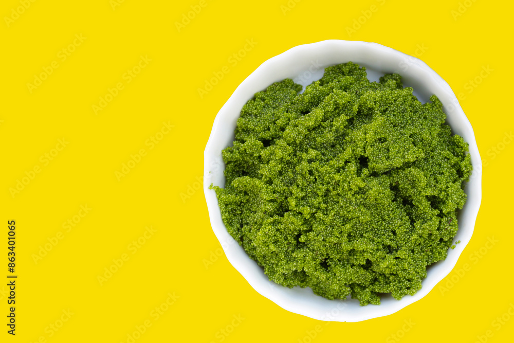 Wolffia globosa or swamp algae, water meal Wolffia globosa or swamp algae, water meal
