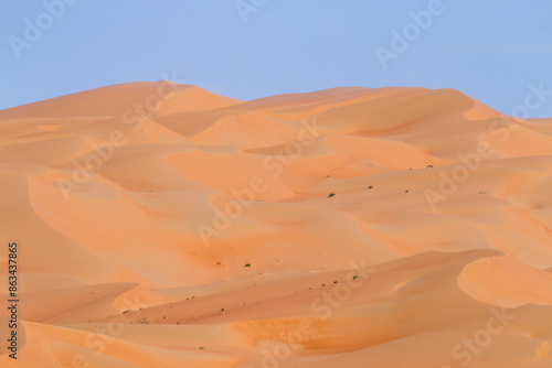 United Arab Emirates - Rub al-Khali - Sand dunes photo