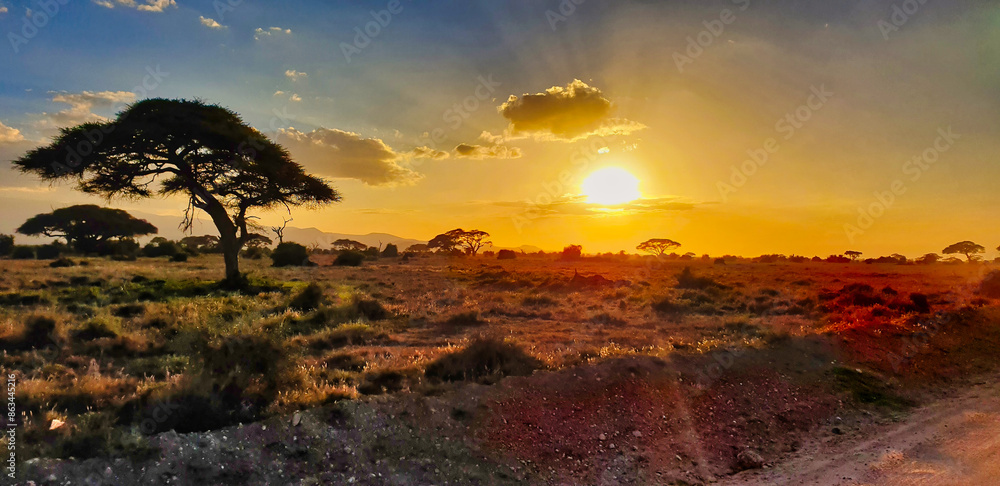 Obraz premium Golden sunset over the acacia woods and grass plains of the scenic Amboseli National park, Kenya
