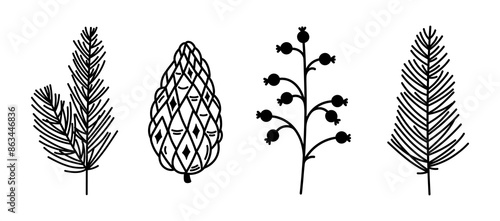 Christmas plants, vector icon set. Branches of coniferous trees - spruce, fir, cedar. Pine cone and mistletoe with berries. Silhouette of evergreen forest twig. Hand drawn botanical sketch, doodle