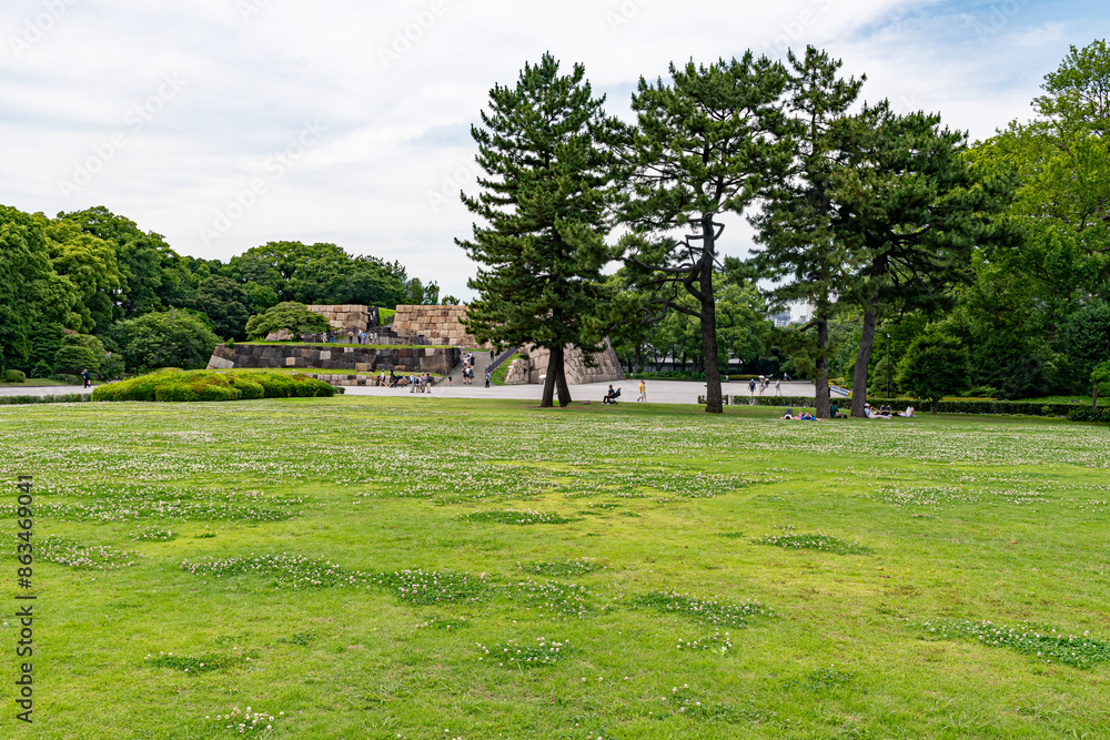 Fototapeta premium 将軍徳川家康江戸城本丸趾
