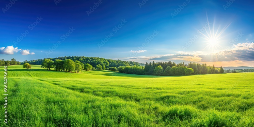 Obraz premium Green grass meadow under the clear sky , outdoors, vibrant, nature, scenery,sunny, fresh, field, landscape, summer