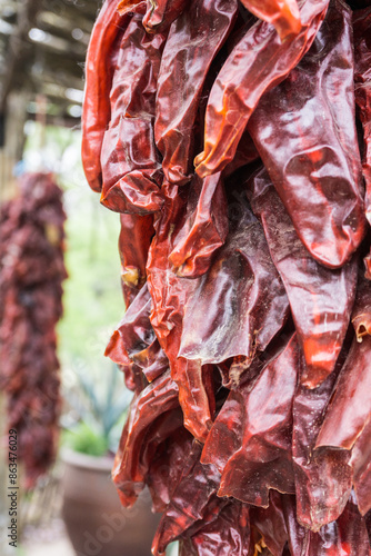 Fotografie Dried red chiles