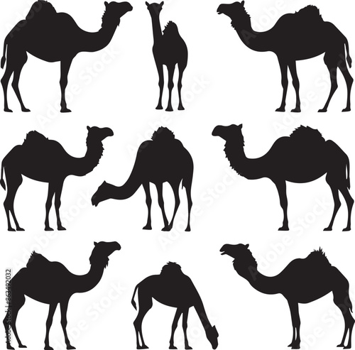 A Set of Silhouette Camel Animal Vector Illustration.