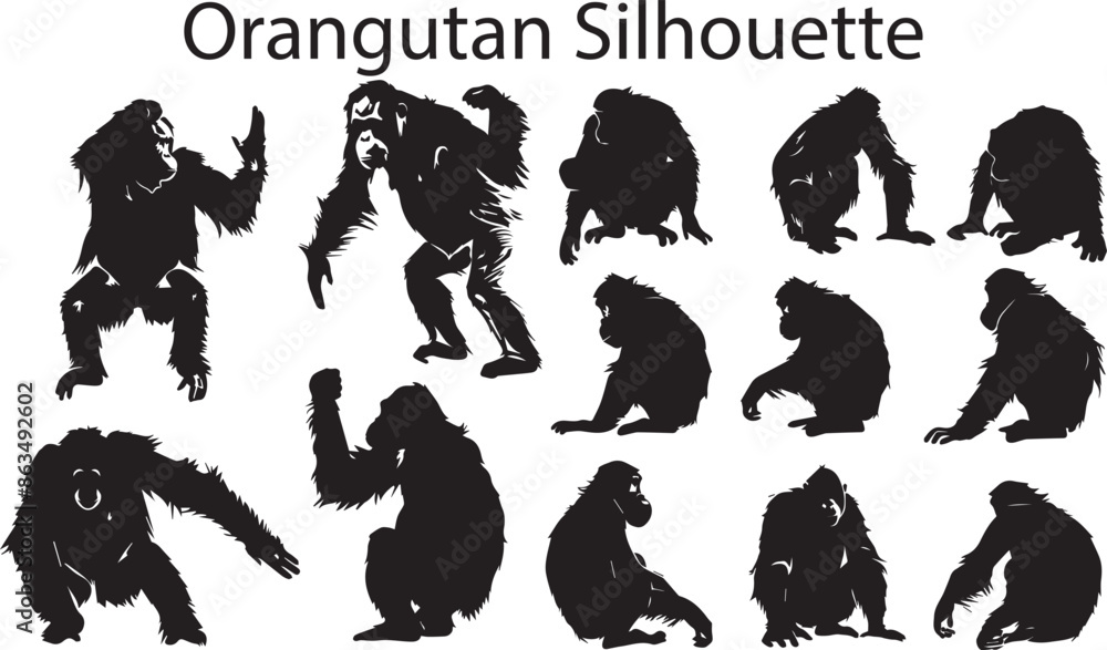A Collection of Orangutan animal Silhouette vector illustration. Orangutan Animal Silhouette. Black Orangutan A Collection of Orangutan animal Silhouette vector illustration. Orangutan Animal Silhouette. Black Orangutan