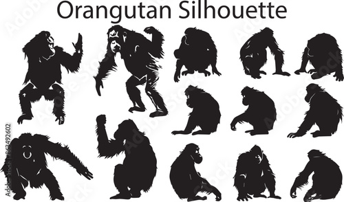 A Collection of Orangutan animal Silhouette vector illustration. Orangutan Animal Silhouette. Black Orangutan
