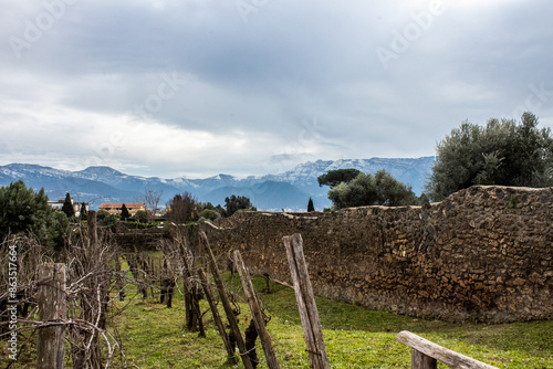 pompeii ruins vineyard italy cloudy day photo