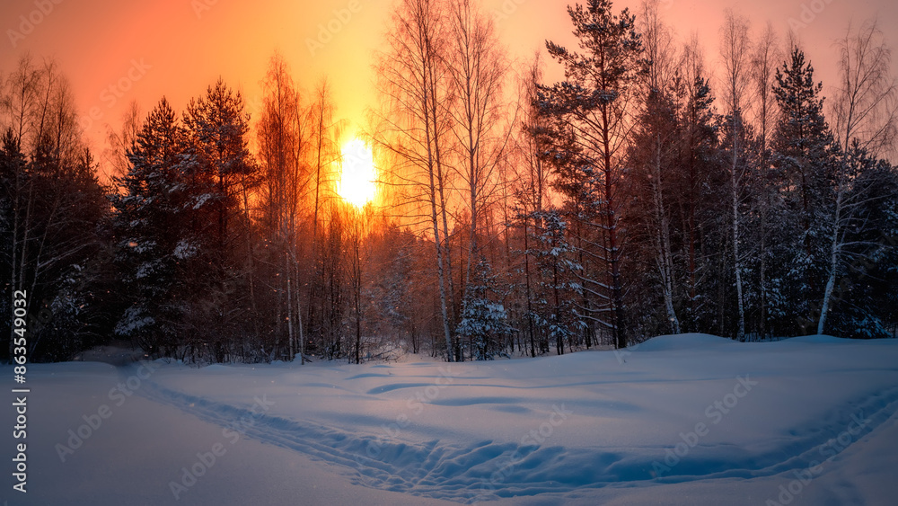 Sunny morning in a winter snowy forest. Frosty morning. Frost falls from the trees. The ski track is covered with snow. Sunny morning in a winter snowy forest. Frosty morning. Frost falls from the trees. The ski track is covered with snow.