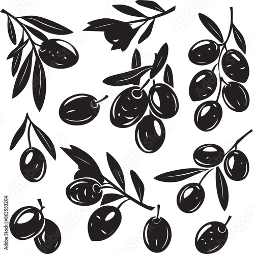 Olive Tree Outline Silhouette Graphics Collection