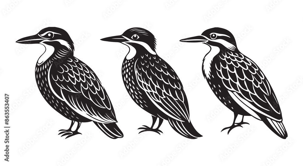 Obraz premium Vintage Kingfisher Bird Silhouette