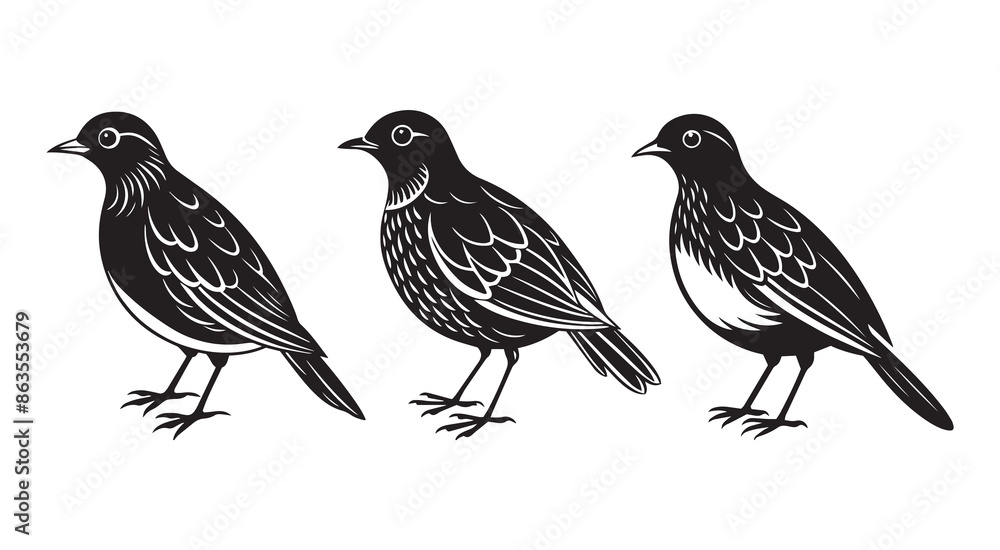 Fototapeta premium Vintage Robin Bird Silhouette