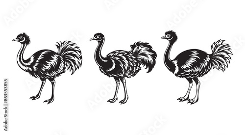 Vintage Ostrich Bird Silhouette