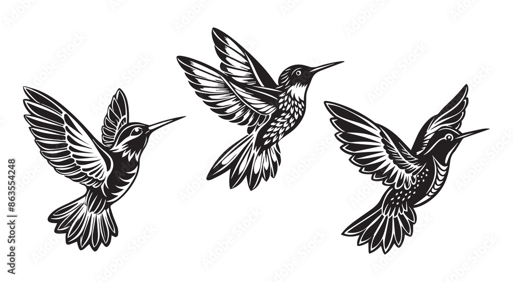 Obraz premium Vintage Hummingbird Bird Silhouette