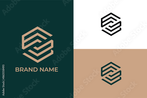 letter S lineart hexagon icon logo, letter S shield icon logo, abstract geometric Letter C S logo with hexagon icon, modern shield initial letter Ss logo vector icon