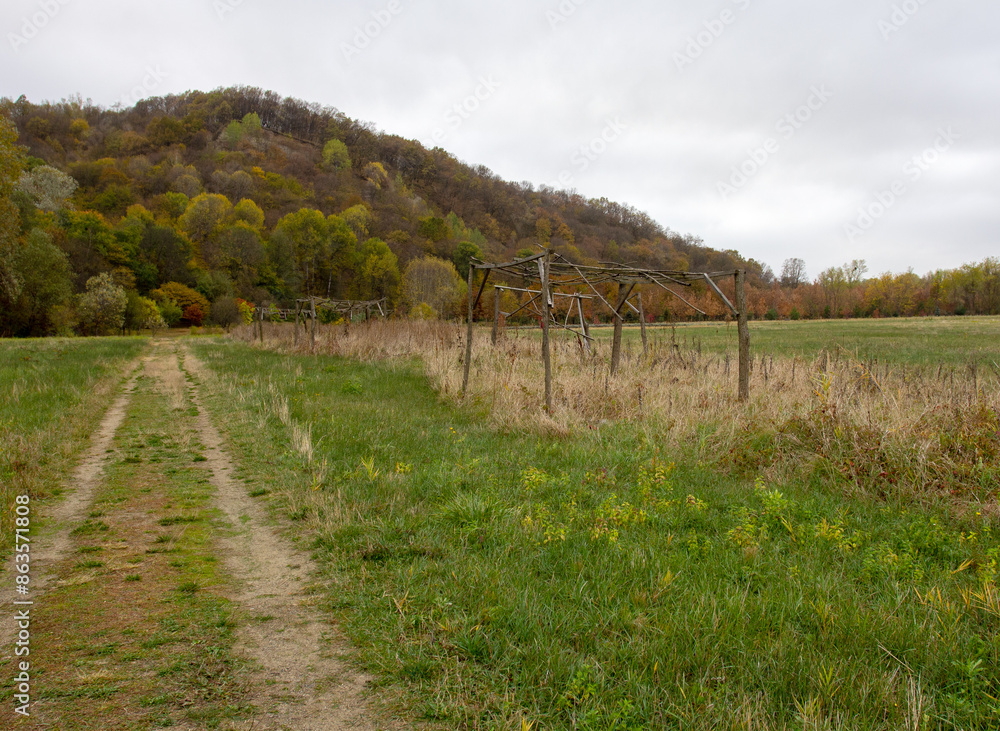 morning in the autumn park, the breath of autumn in nature, the colors of the rainbow in nature and the leaves of plants morning in the autumn park, the breath of autumn in nature, the colors of the rainbow in nature and the leaves of plants