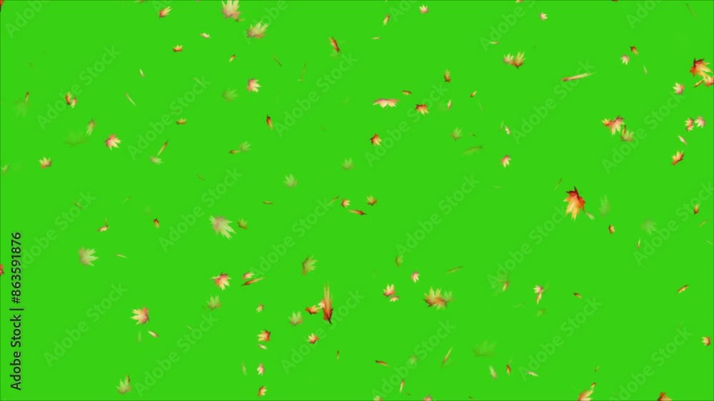 Leaves falling animation on green screen 4k. leaf falling.
realistic falling autumn leaves 4K animation video with a green screen background.
Leaves falling on green screen background Leaves falling animation on green screen 4k. leaf falling.
realistic falling autumn leaves 4K animation video with a green screen background.
Leaves falling on green screen background