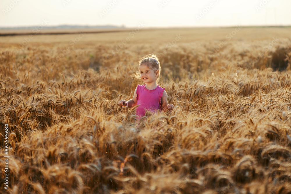 An adorable little farmer girl in wheat field at rural countryside. An adorable little farmer girl in wheat field at rural countryside.