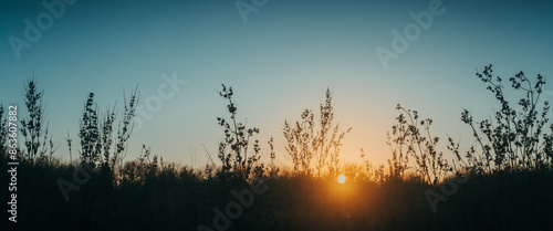 panorama view of the sunsetting above a field against the silhouette of various grasses typical in Texas