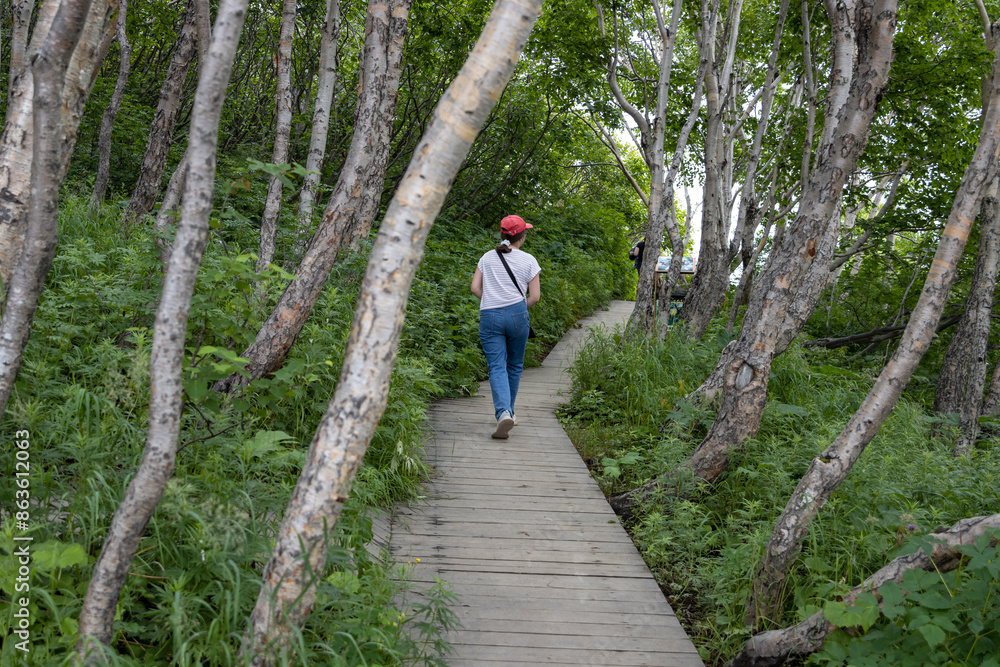 Obraz premium A girl walks along a wooden ecological path in a mountain forest. Tourist hiking trail among the trees. Nature walks and outdoor activities. Ecological tourism and healthy lifestyle. Summer landscape.