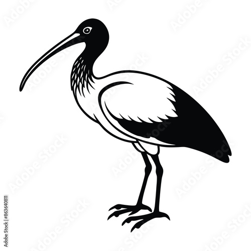  Ibis Bird Silhouette Art Design