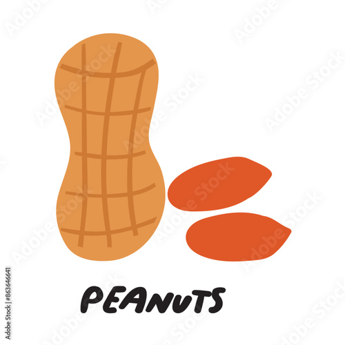 Peanuts Flat illustration. Hand drawn vector icon on white background.