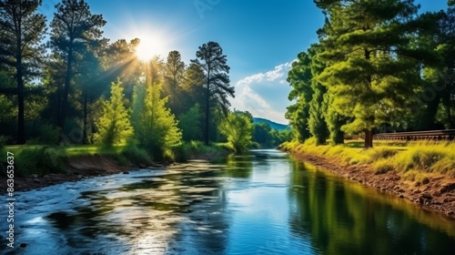 Summer afternoon  forest trees, river, and railroad tracks   tranquil train journey scene