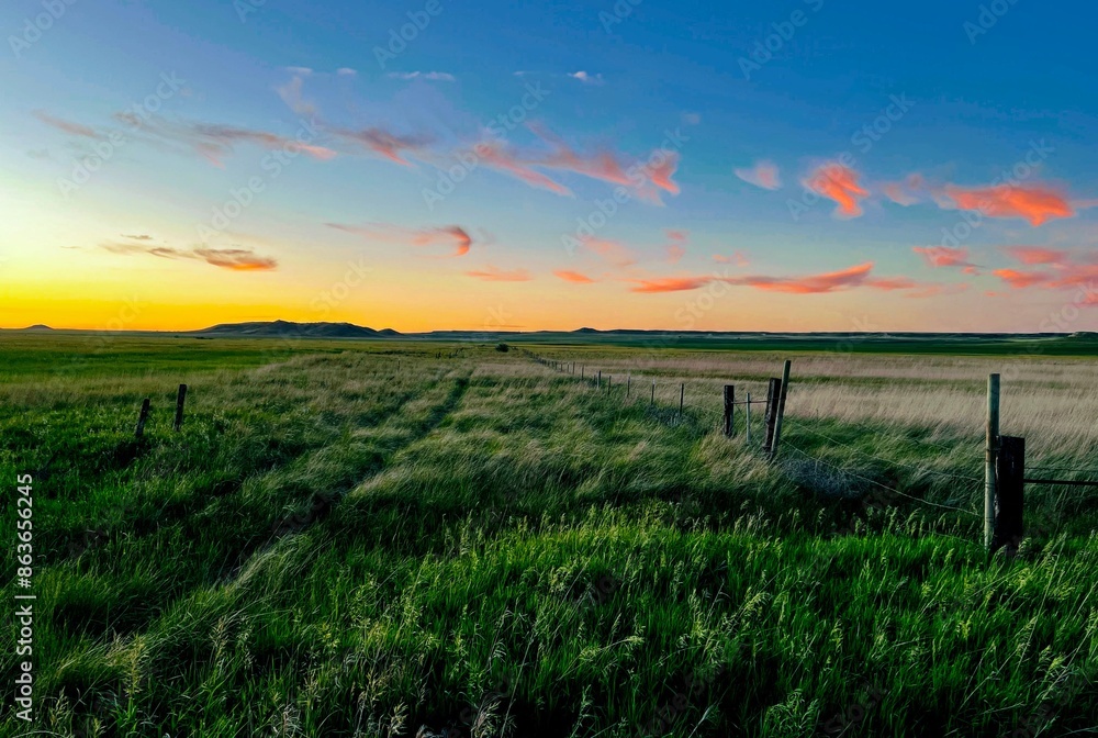 A rugged path forward into endless prairie under a pastel sunset A rugged path forward into endless prairie under a pastel sunset