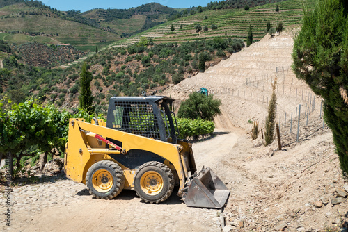 Carregadeira compacta em meio a uma fazenda rural com grandes plantações de vinha photo