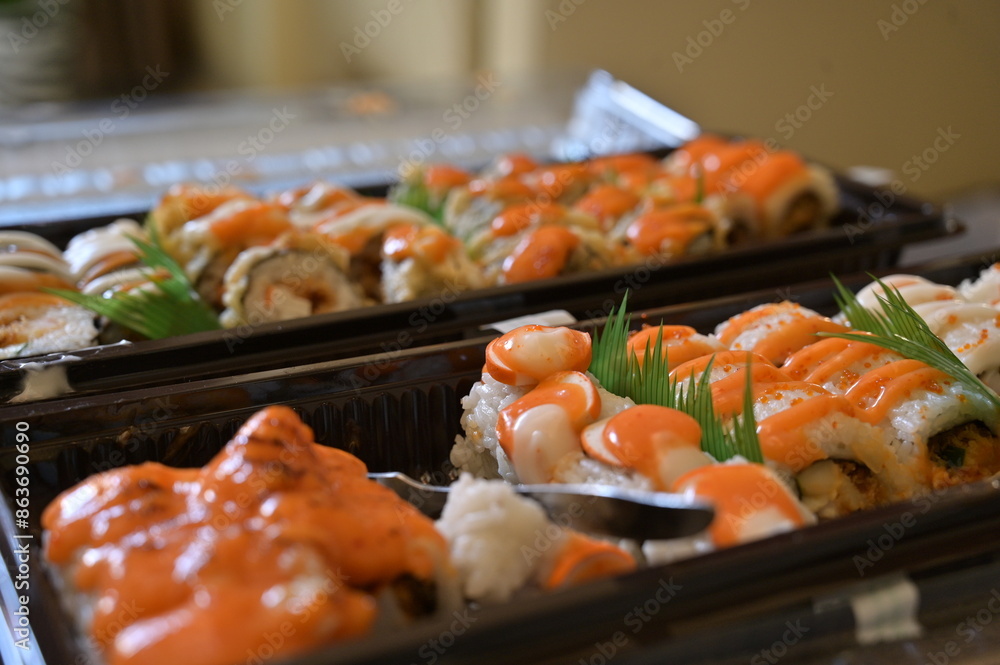 Various of Japanese food close up view. Served asian sushi rolls close up macro shot. Japanese seafood restaurant. Fresh salmon fish with rice. Traditional Japan food. Various of Japanese food close up view. Served asian sushi rolls close up macro shot. Japanese seafood restaurant. Fresh salmon fish with rice. Traditional Japan food.