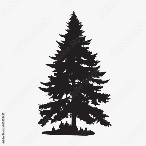 black silhouette of a alpine balsam tree in white background