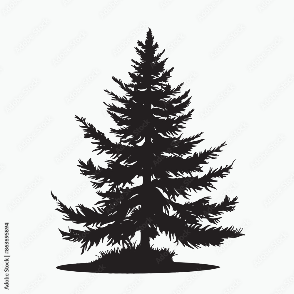 black silhouette of a alpine balsam tree in white background black silhouette of a alpine balsam tree in white background