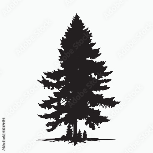 black silhouette of a alpine balsam tree in white background