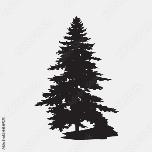 black silhouette of a alpine balsam tree in white background