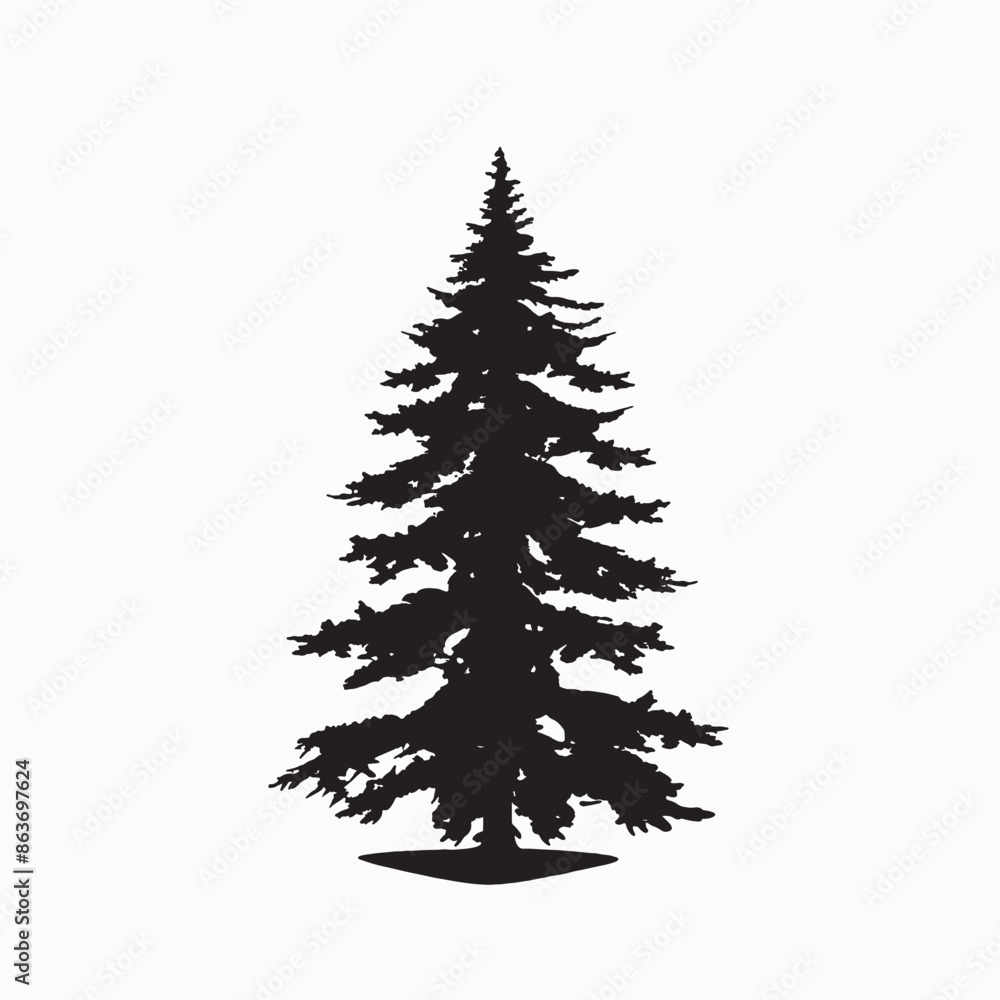 Obraz premium black silhouette of a alpine balsam tree in white background