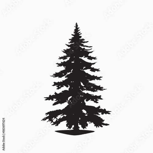 black silhouette of a alpine balsam tree in white background