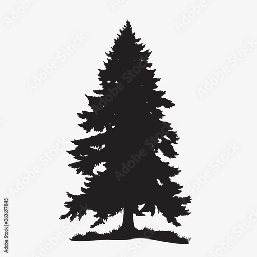 black silhouette of a alpine balsam tree in white background