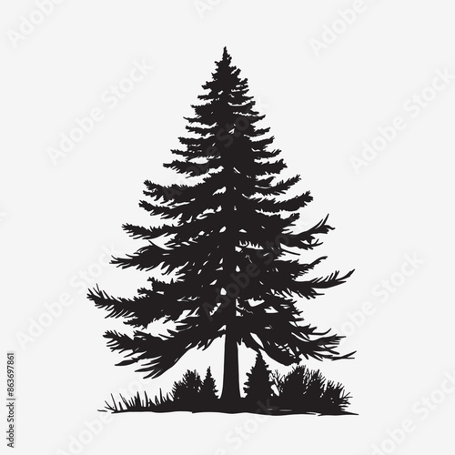 black silhouette of a alpine balsam tree in white background