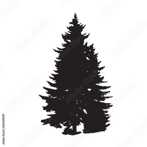 black silhouette of a alpine balsam tree in white background