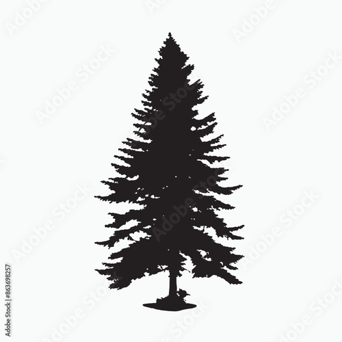 black silhouette of a alpine balsam tree in white background