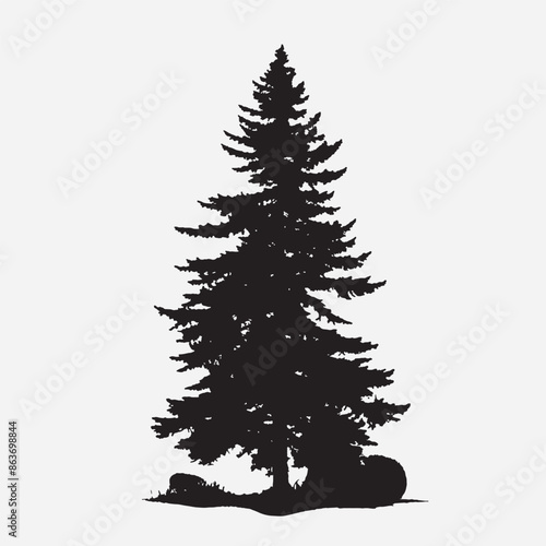 black silhouette of a alpine balsam tree in white background