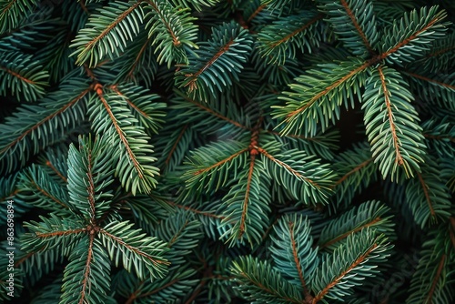 Green Christmas background consisting of only fir branches and pine cones with space for text. New Year card or desktop wallpaper.