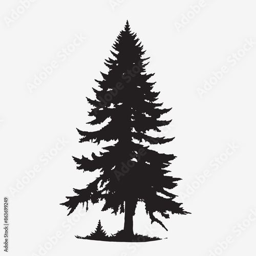black silhouette of a alpine balsam tree in white background