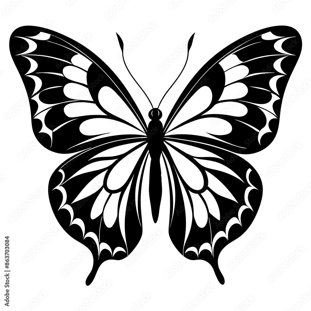 butterfly on white background butterfly on white background